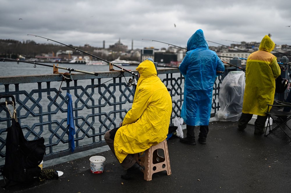 oyyQoMcSDU6RspHhfh7e0g