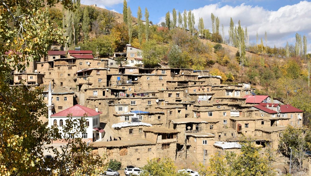 Bitlis'te 300 yıllık taş yapıların korunması için çalışma başlatılacak