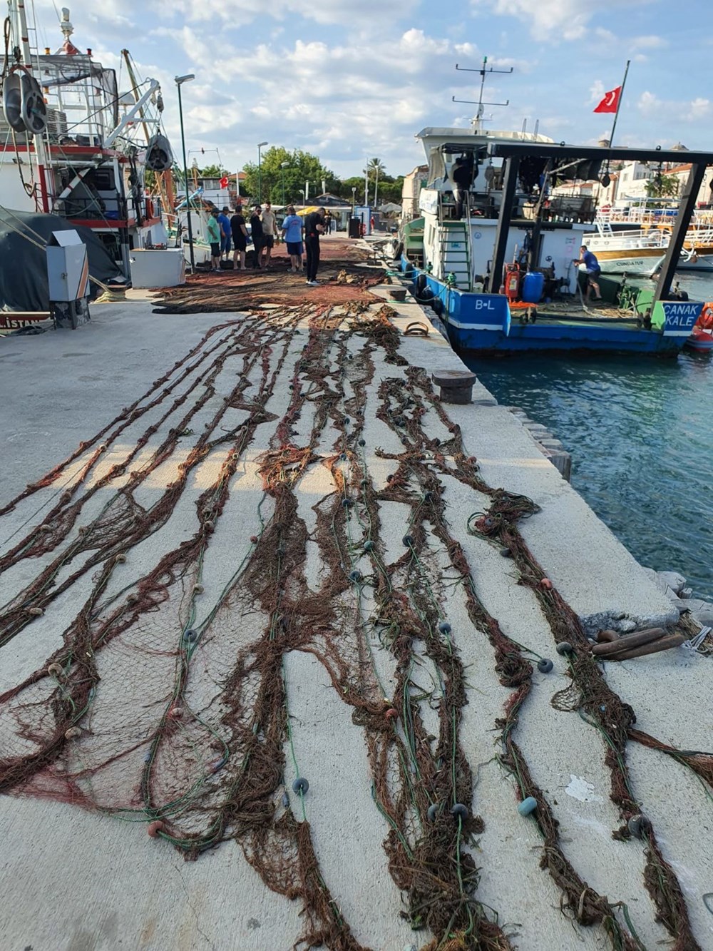 Denizlerde “ölümcül balık”la mücadele sürüyor | Siyanürden daha tehlikeli türün 100 bini avlandı - 4