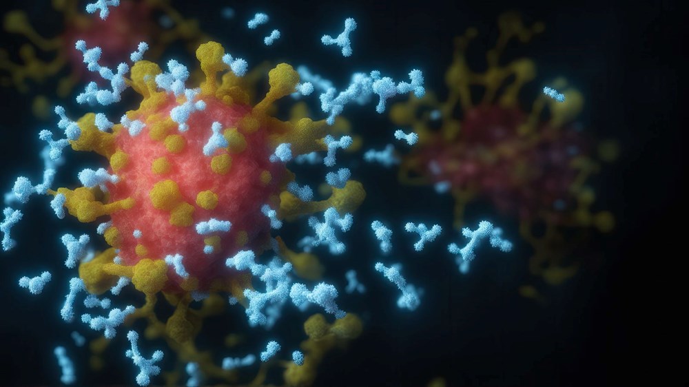 Bilim insanlarından uyarı: Covid-19'un Pirola varyantı daha bulaşıcı (Pirola ölümcül mü? - 5