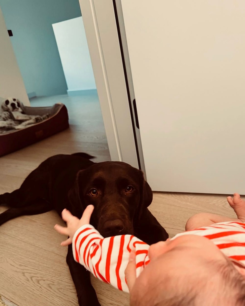 Pınar Deniz'den soyadı atağı: Aylar sonra güncelledi 75 p1l6Jbd6r0K9tnlOCfTiVA