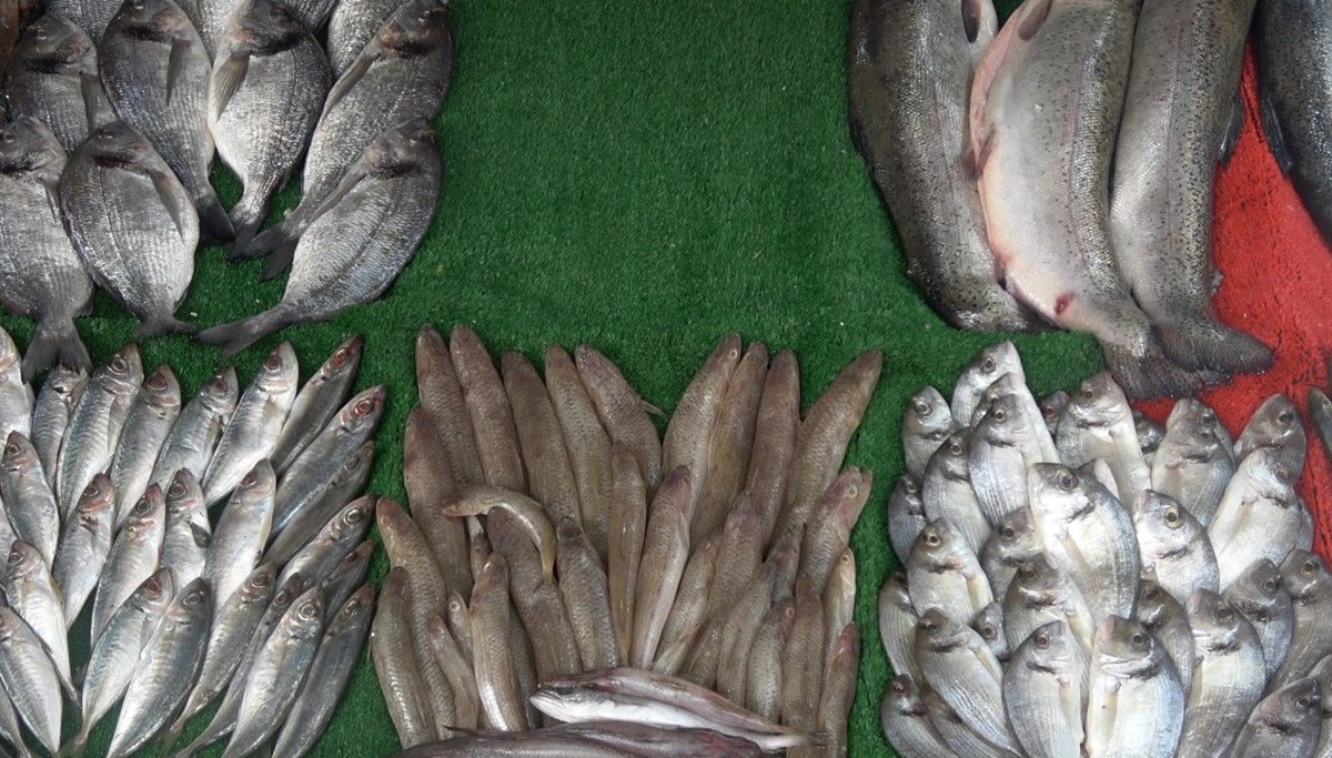 Kilis'in tek kadın balıkçısı aile mesleğini sürdürüyor