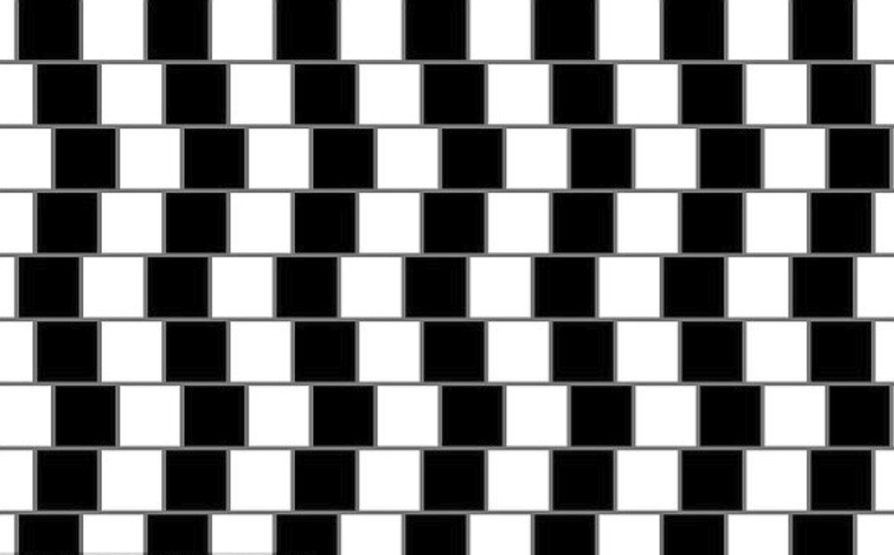 fotograf renkli mi siyah beyaz mi