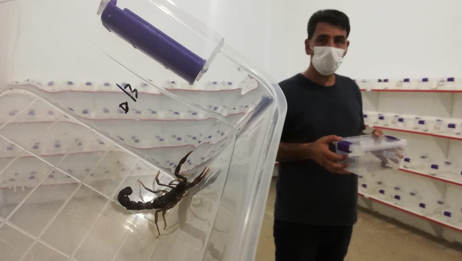 Zehrinin litresi 10 milyon dolar