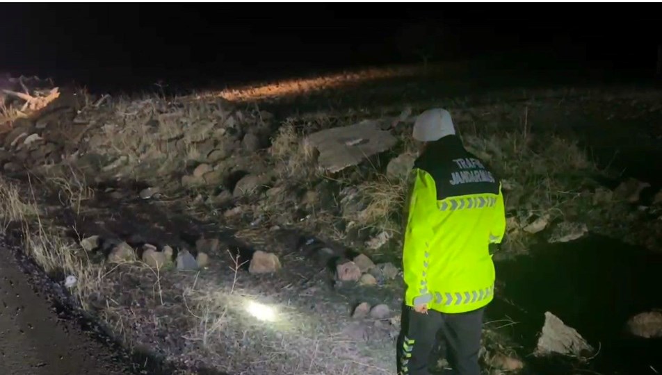 Şanlıurfa'da başından vurulan kadın hayatını kaybetti