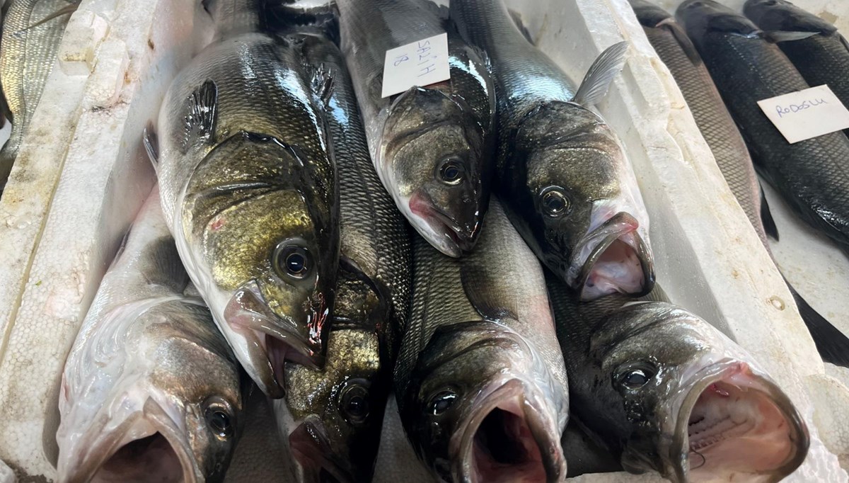 Gece avlanıyor, sabah alıcıyla buluşuyor: Fiyatı 2 bin TL'ye kadar çıkıyor