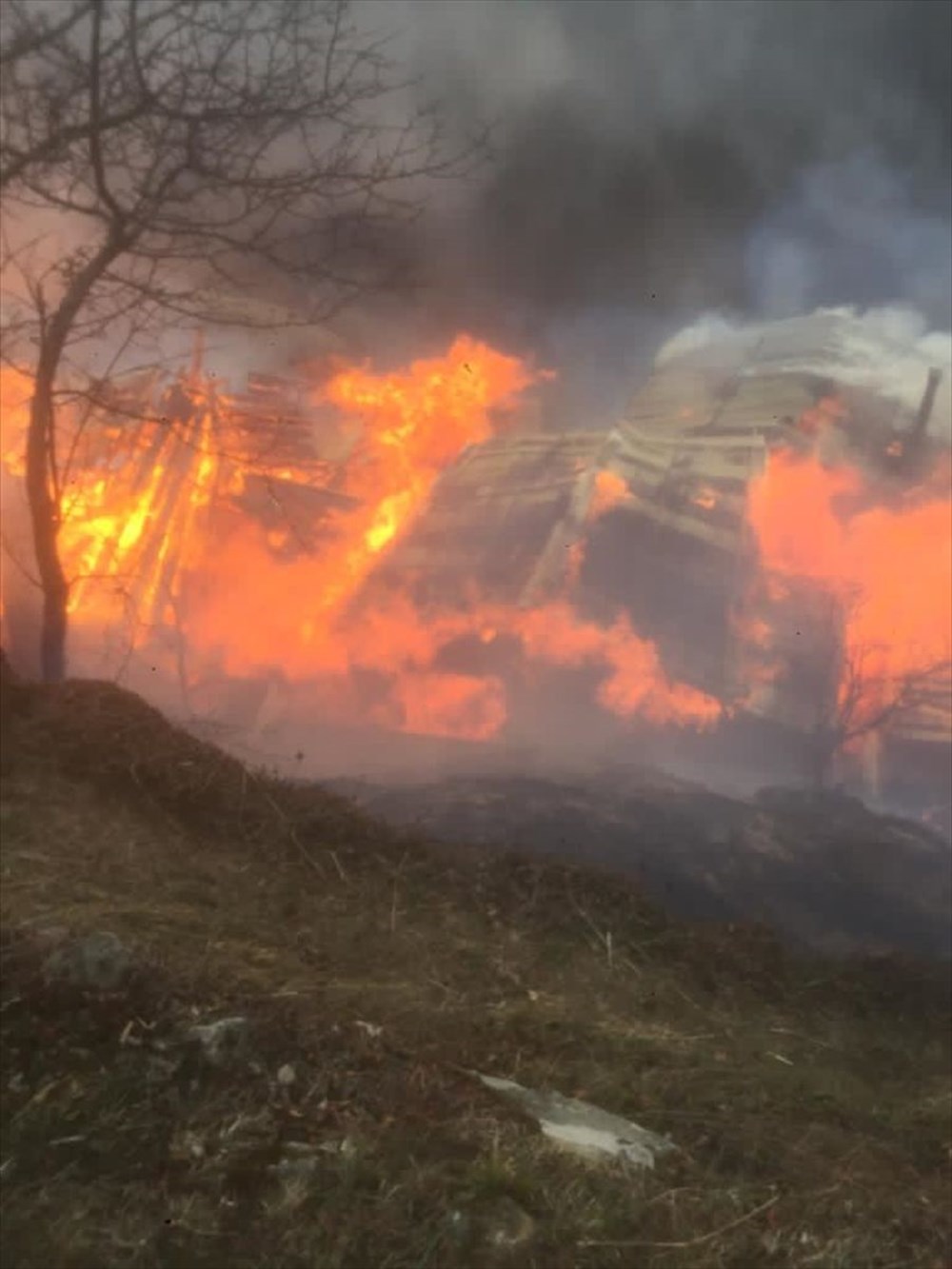 Rize'de Gölyayla köyünde çıkan yangına müdahale ediliyor - 4