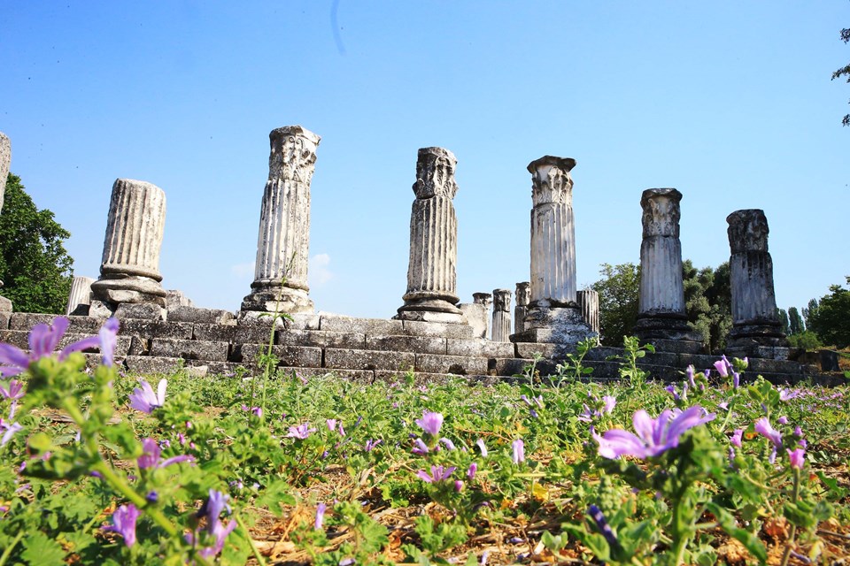 Muğla Lagina Hekate Kutsal Alanı'nda geçmişteki depremlerin izleri araştırılıyor - 1