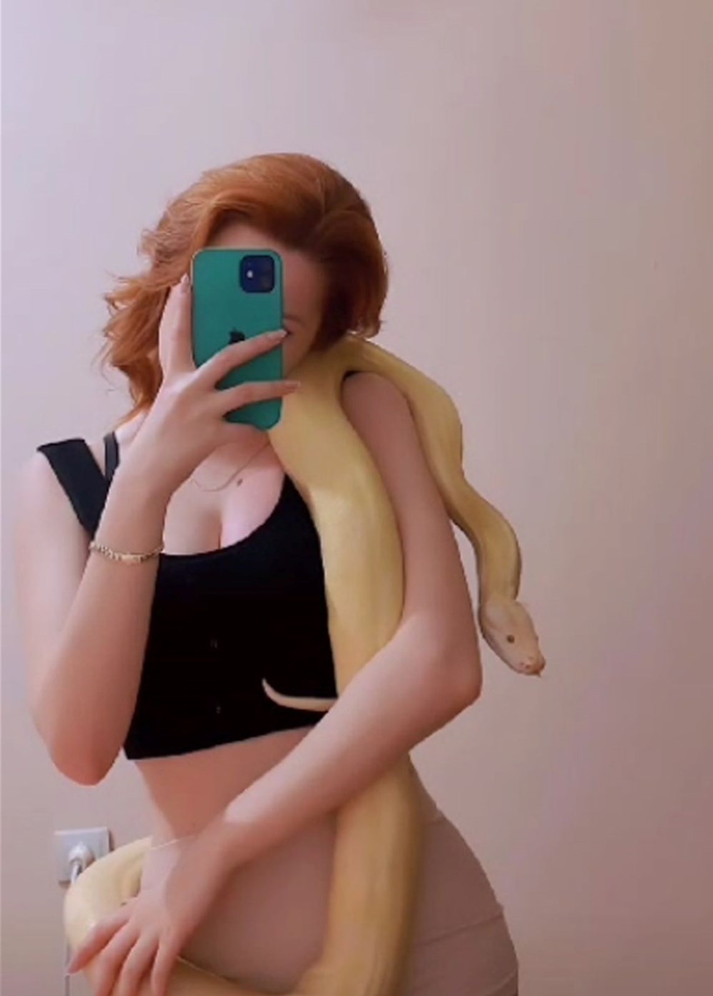 Kiracısına ulaşamayan ev sahibine albino piton sürprizi - 4