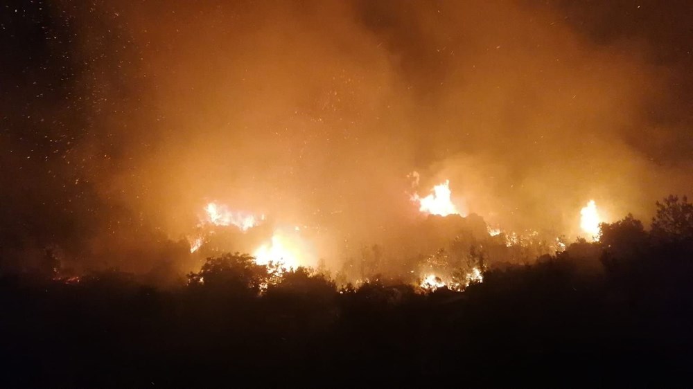 Manavgat'ta büyük orman yangını - 2
