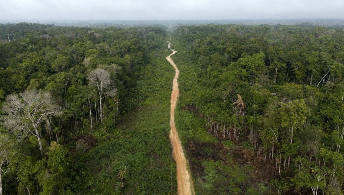 Dünyanın akciğerleri tehdit altında