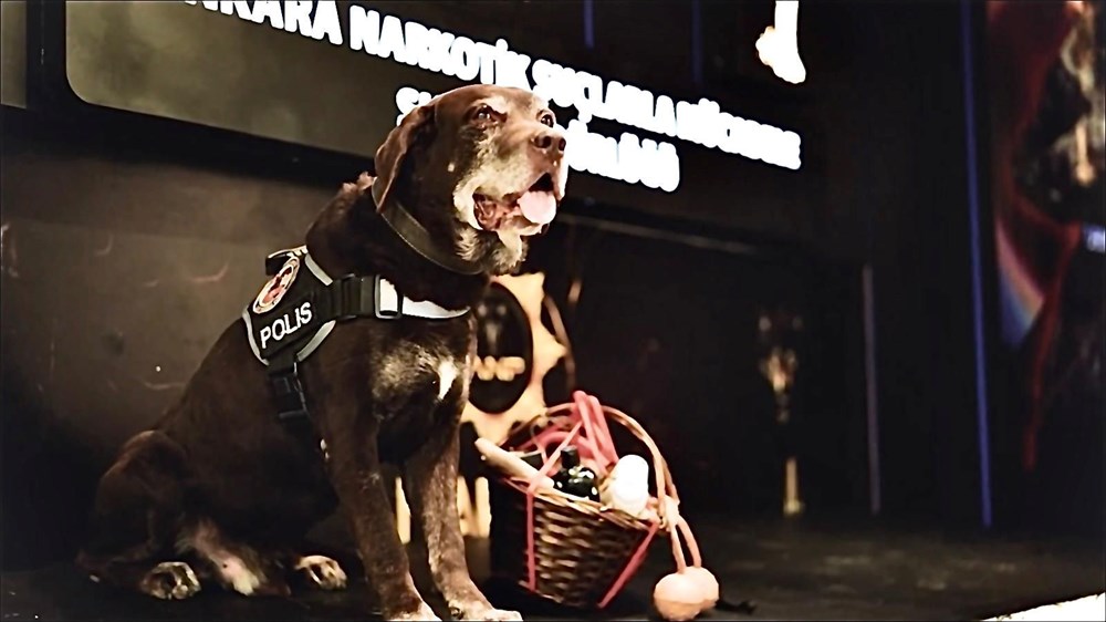 Ankara Emniyeti'nin Efsane Narkotik Dedektörü Toma, Görevine Veda Ediyor! 72 pAk 3I3F7kiV0gGOCrESzw