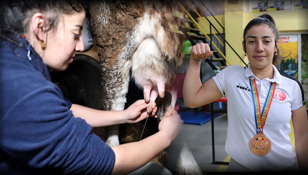 İnek sağarak güçlendirdiği bileğiyle dünya üçüncüsü oldu