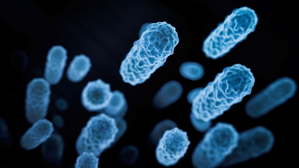 Grip olduğunu sanıyordu, iki bacağı birden kesildi - 3