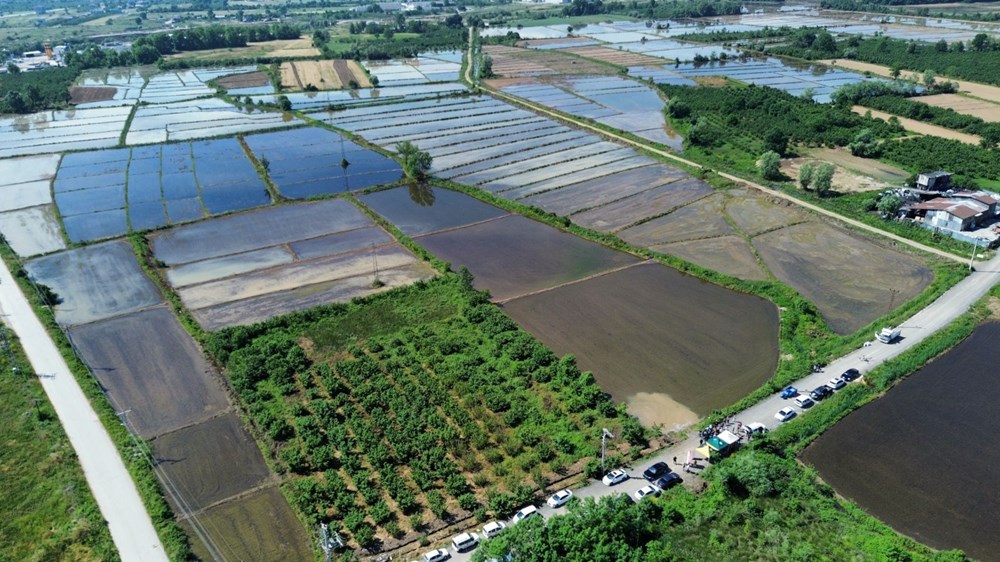 Osmanlı saray mutfağının vazgeçilmezi toprakla buluştu 72 pCYVaQCk4k W n 3b1qiMg