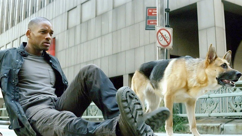 En İyi 19 Salgın Filmi - www.dergikafasi.com