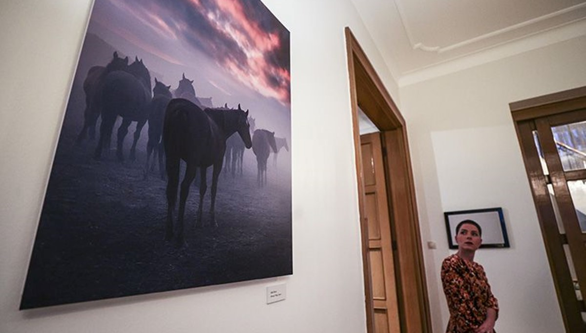 ABD'nin Ankara Büyükelçisi Jeffry Flake konutunda sergilediği Türkiye'den fotoğrafları tanıttı