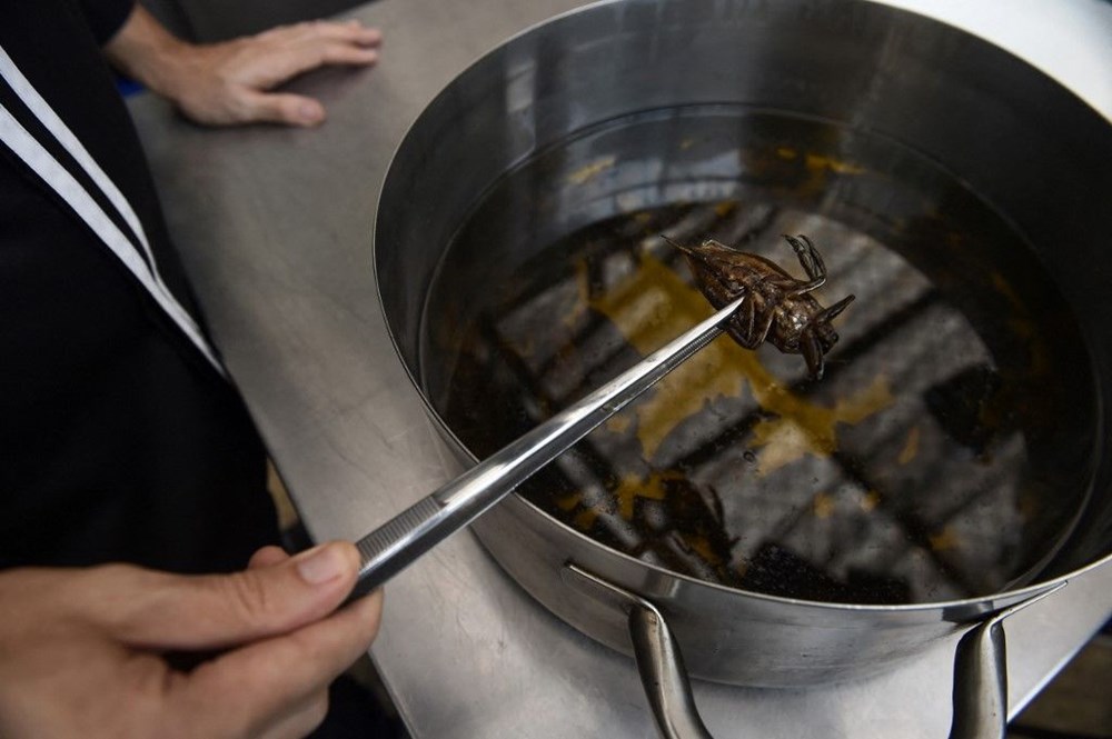 Yenilebilir böcekler yakında süpermarketlerde: Gıda firması aromalı çekirge
şekerlemeleri üretti - 5