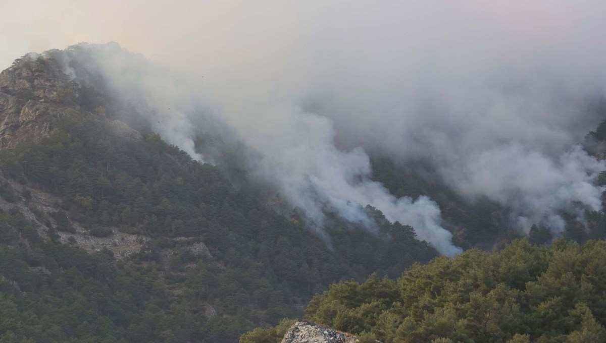 Antalya'da orman yangını: Ekipler müdahale ediyor