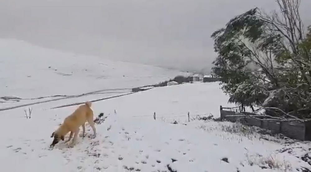 Yurttan manzaralar: Kar erken geldi - 34