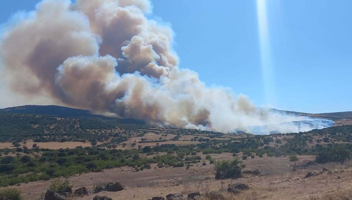 Çanakkale ve İzmir'de orman yangını: Havadan ve karadan müdahale başladı