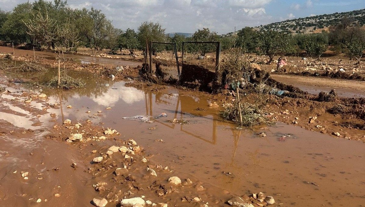 Adıyaman'da şiddetli yağış: Tarlalar sular altında kaldı