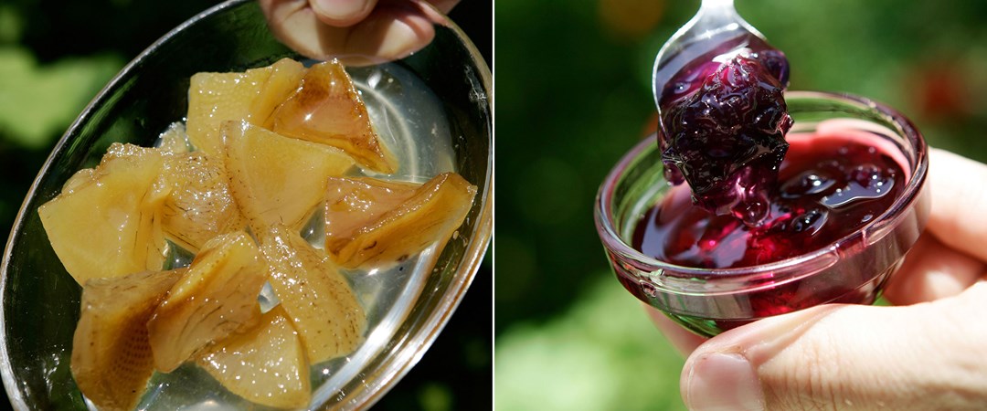 Bunların da reçeli oldu! - Magazin Haberleri | NTV