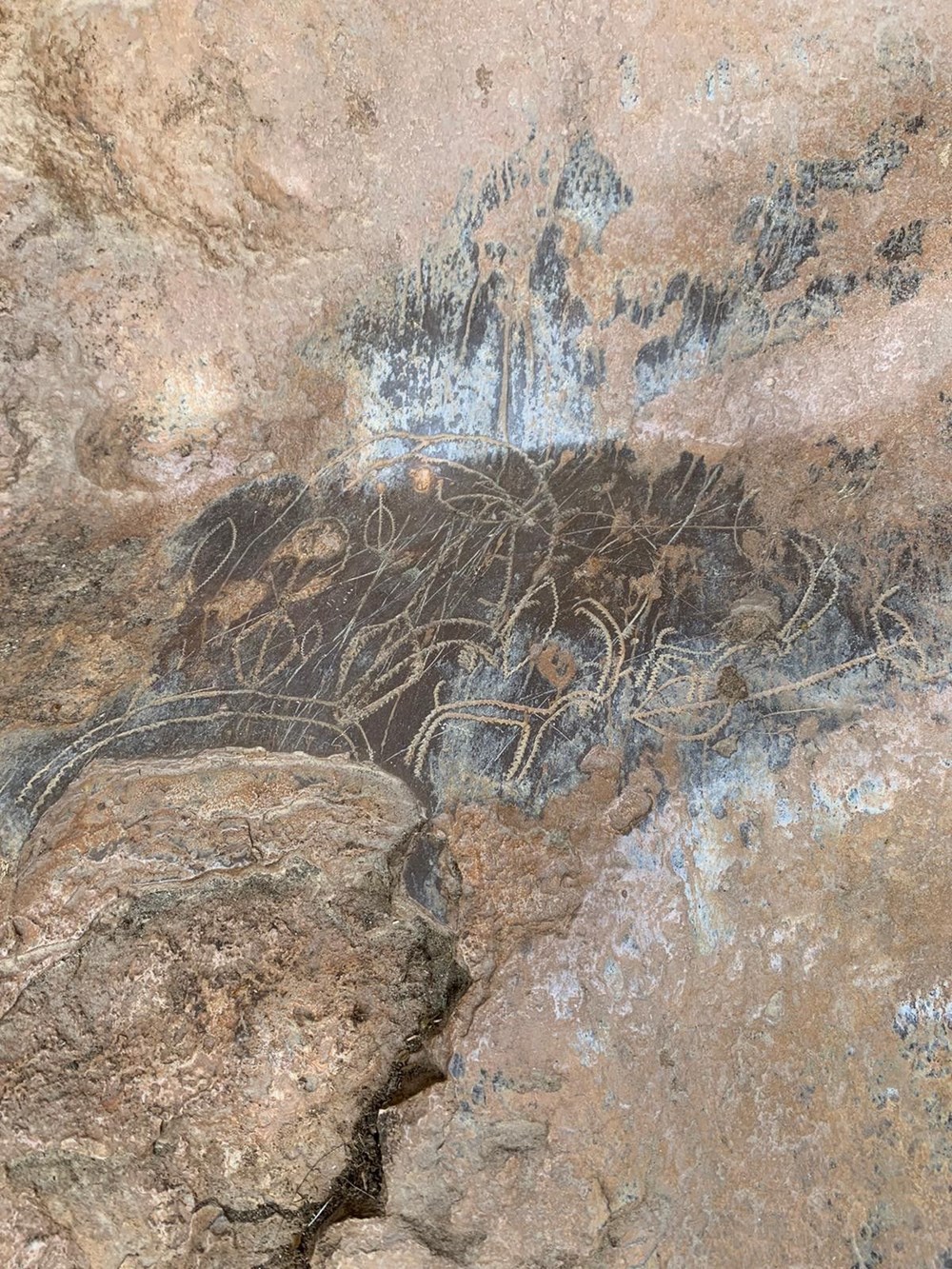 Mersin’de bir mağarada bulunan 8 bin yıllık kaya resimleri koruma altına alınıyor - 4