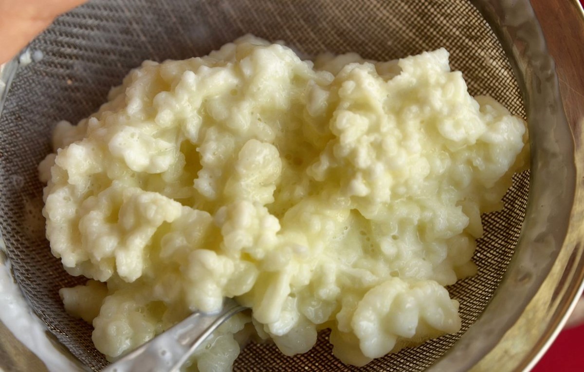 pLuDkqRci0ORP9m7fMxOpA.jpg