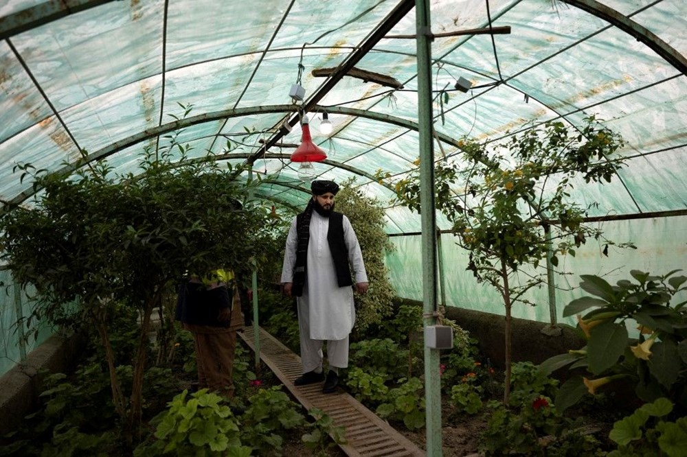 Taliban’ın en ünlü keskin nişancısı Afganistan’da belediye başkanı oldu - 3