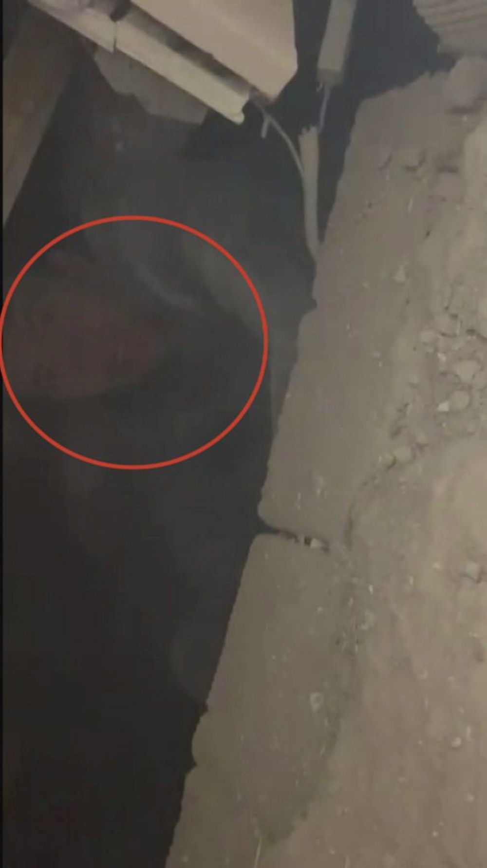 Enkaz altından saatler sonra kurtarıldı, AFAD görevlisine "Abi hoşgeldin" dedi - 3