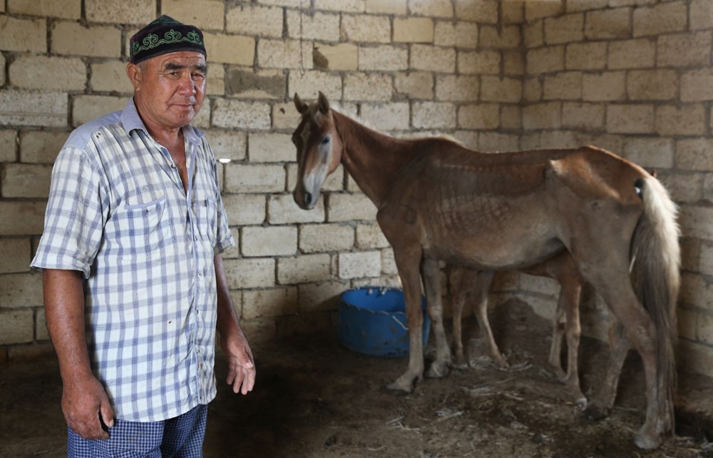 İklim değişikliğinin vurduğu Kazakistan'da binlerce hayvan öldü - 9