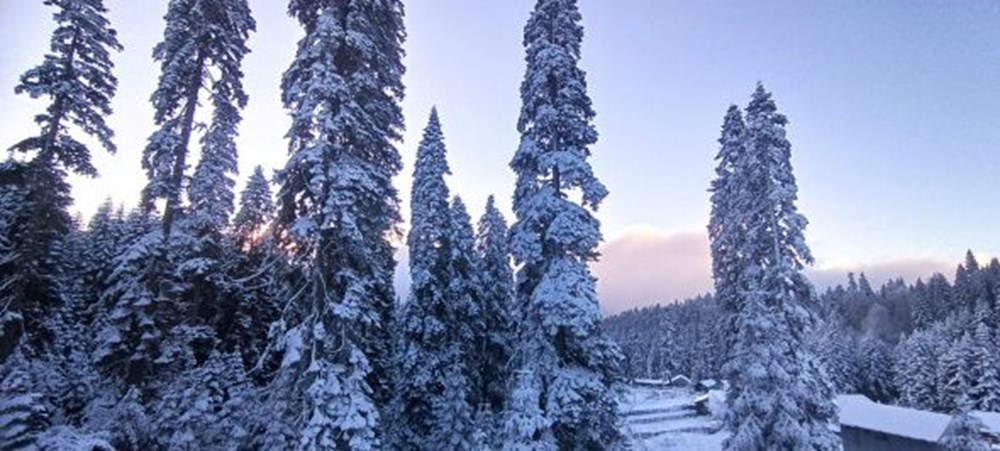 Mevsimin ilk karı düştü: İşte yurttan kar manzaraları - 11