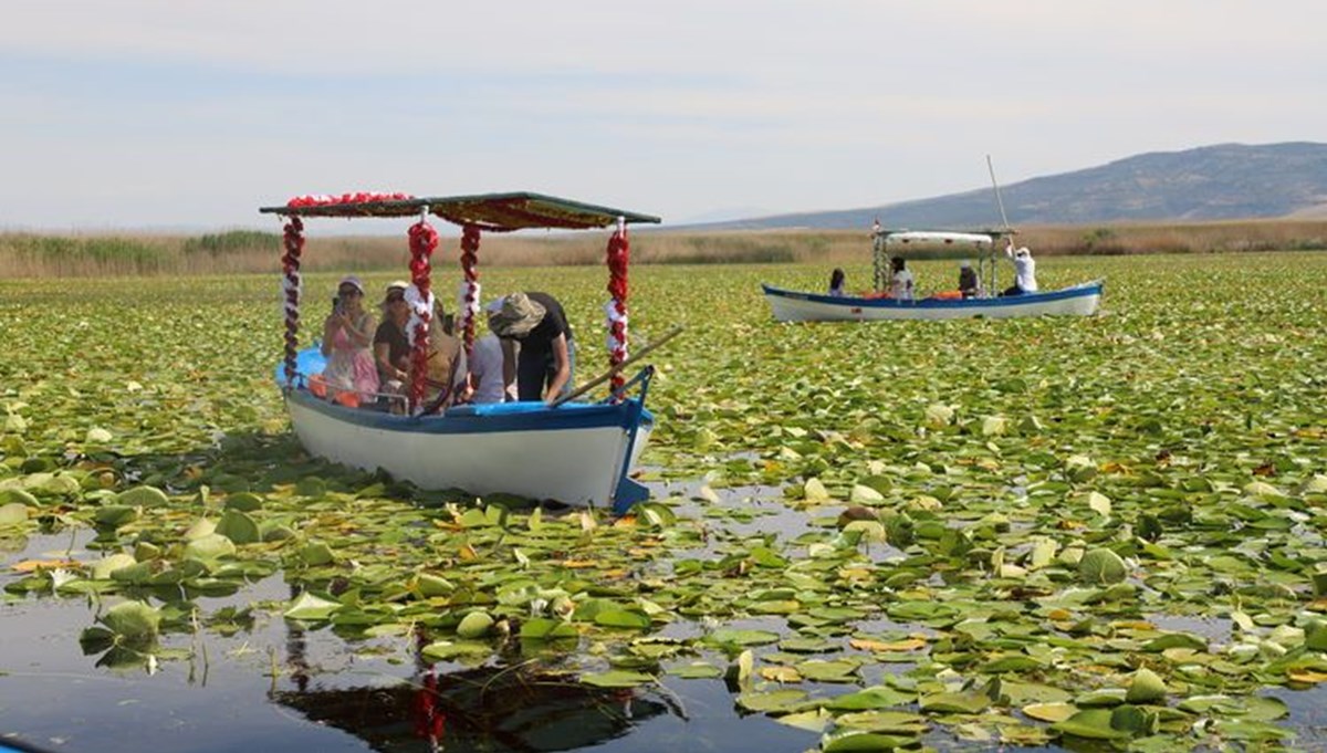 Nilüferlerle kaplı Işıklı Gölü sezonun ilk ziyaretçilerini ağırlıyor