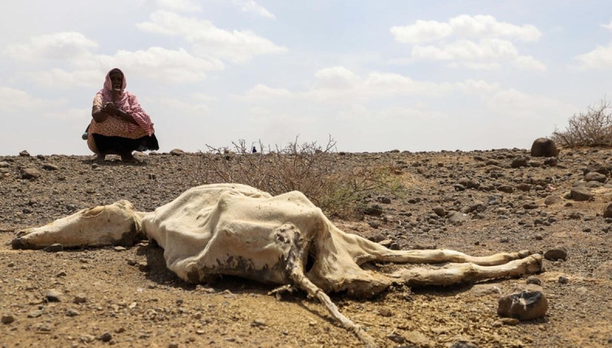 Doğu Afrika'nın güney sahilleri sellerle, kuzeyi kuraklıkla mücadele ediyor Doğu Afrika'nın güney sahilleri sellerle, kuzeyi kuraklıkla mücadele ediyor