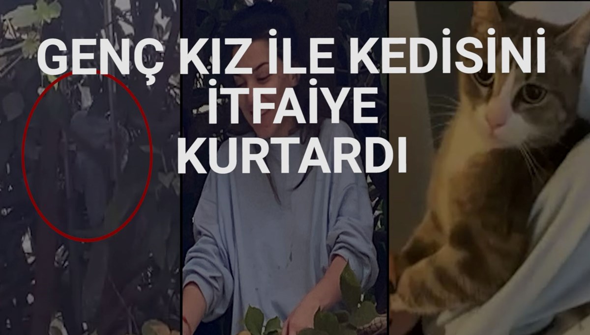 Kedisini kurtarmak isterken ağaçta mahsur kaldı Kedisini kurtarmak isterken ağaçta mahsur kaldı