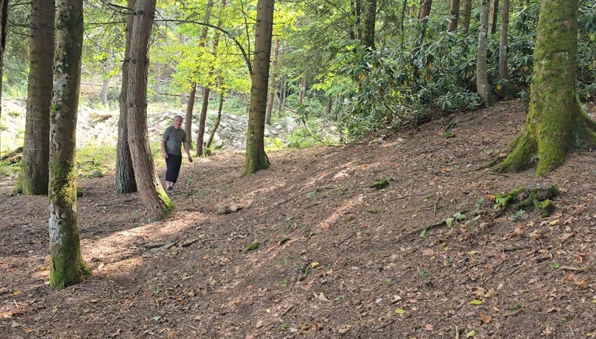 Bin 200 kilometre uzaktan gelip diktiği fidanlar orman oldu
