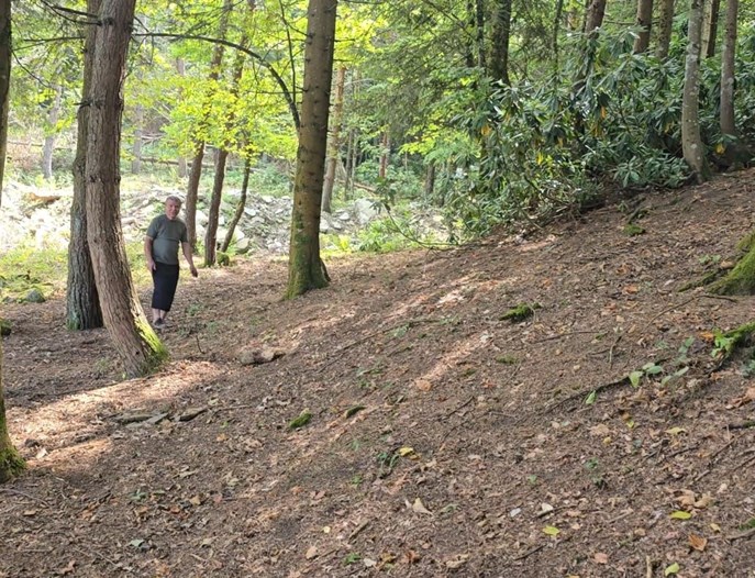 Bin 200 kilometre uzaktan gelip diktiği fidanlar orman oldu