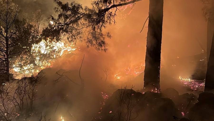 Isparta'da orman yangını