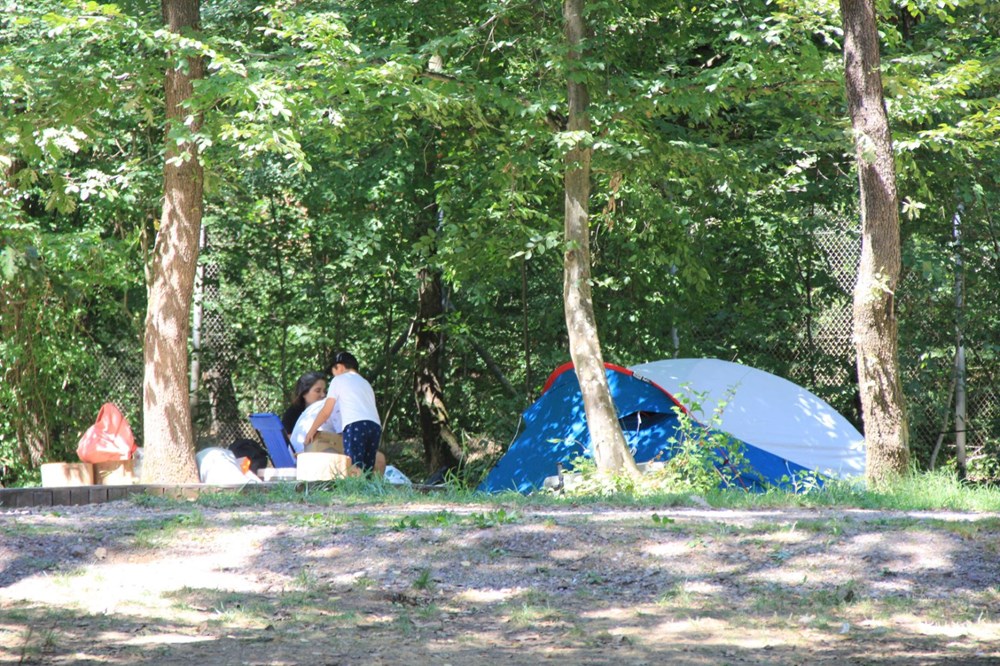 Avrupa'n�n en b�y�k do�al ya�am merkezi Ormanya