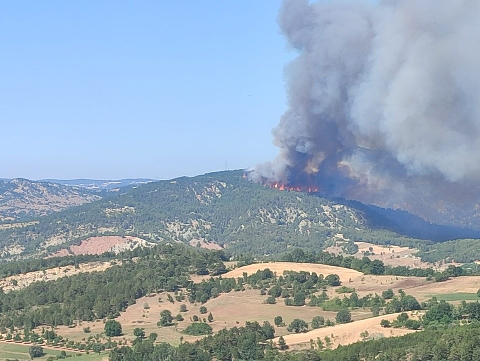 Edirne ve Bilecik'te orman yangınları - 1