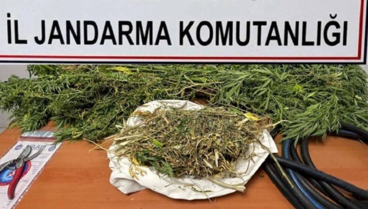 Niğde'de uyuşturucu operasyonu