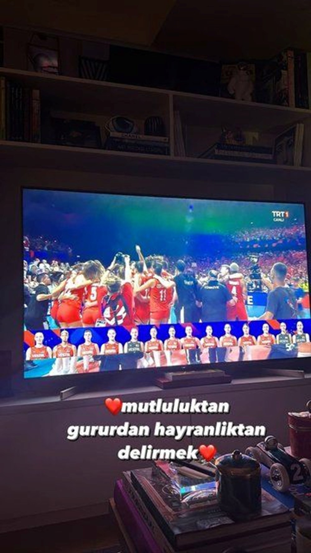 Ünlü isimlerden Filenin Sultanları'na: Şampiyonluk size çok yakıştı - 10