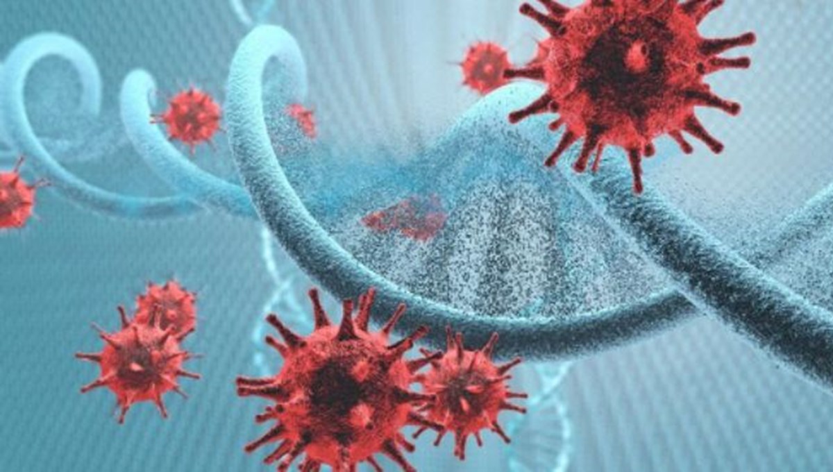 DSÖ’den ‘gizemli hepatit’ açıklaması: En kuvvetli ihtimal adenovirüs