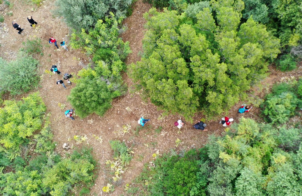 "Anemon Yolu" doğaseverlerin yeni gözdesi - 5