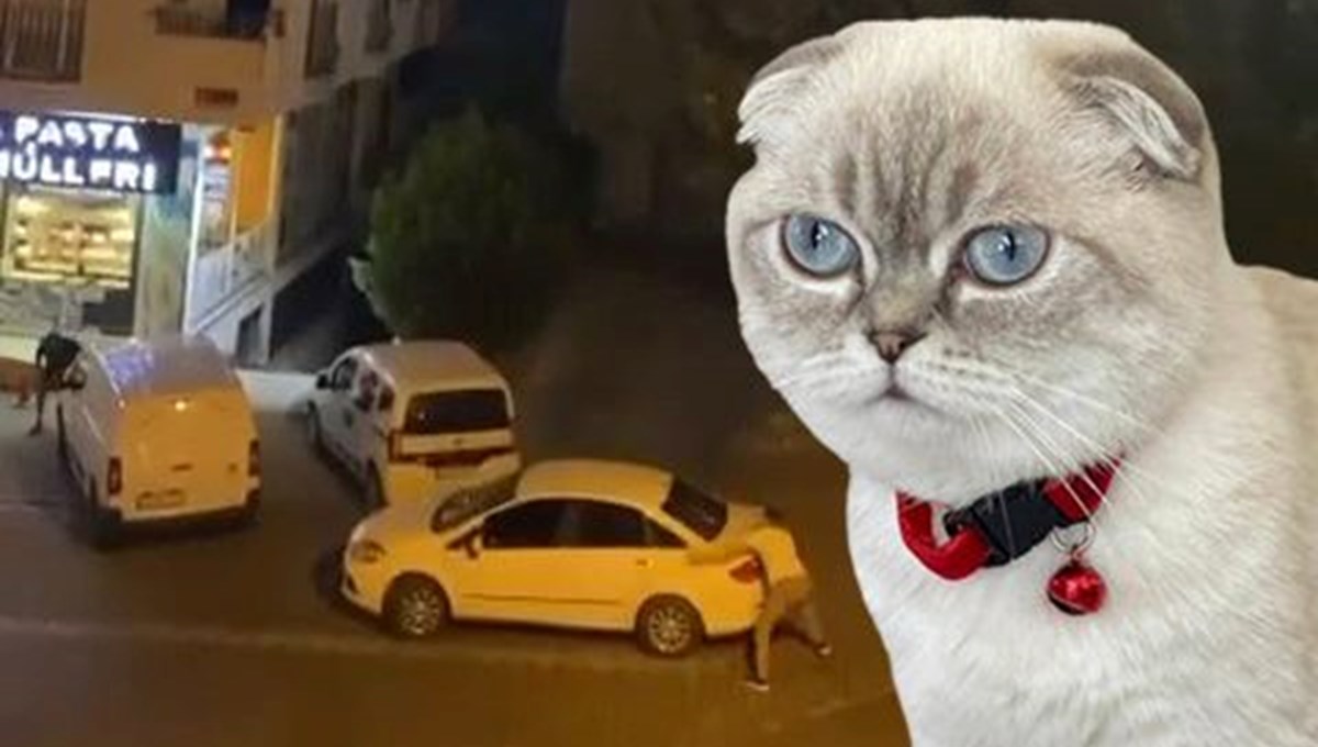 Esenyurt'ta kedi için silahlı çatışma: Yoldan geçen kurye vuruldu