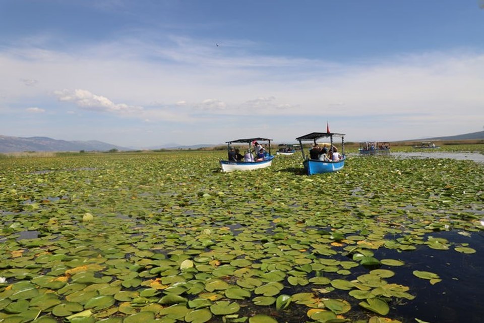 Nilüferlerle kaplı Işıklı Gölü sezonun ilk ziyaretçilerini ağırlıyor - 1