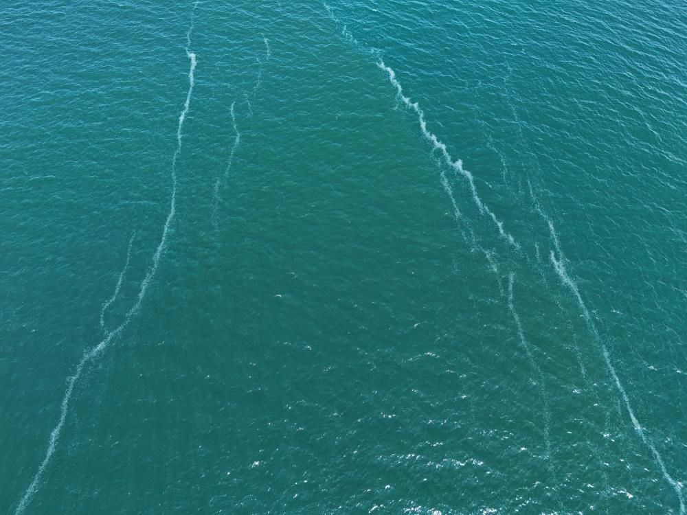 تركيا اليوم صورة مثيرة للقلق قبالة ساحل إسطنبول.. يمتد من سراي بورنو إلى بكركوي صورة مرعبة قبالة سواحل إسطنبول: تمتد من سراي بورنو إلى بكركوي - 5