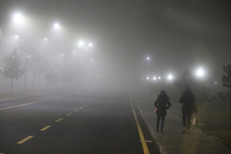 Ağrı ve Erzurum'da yoğun sis etkili oluyor - 1