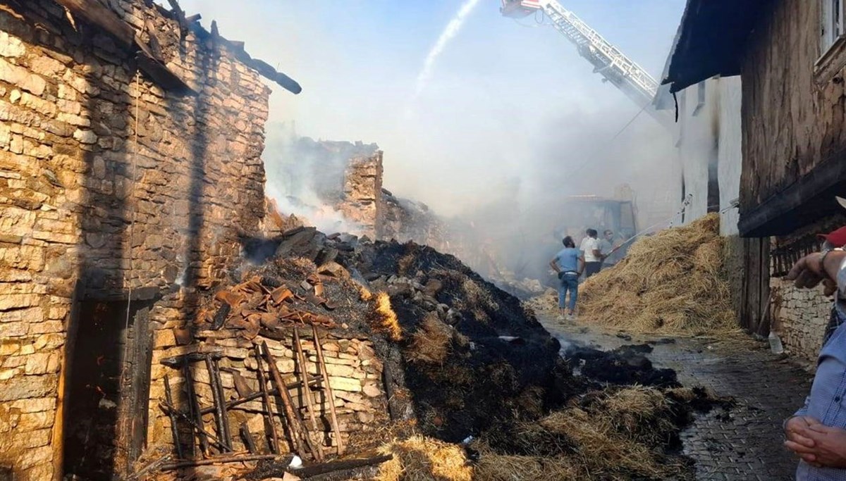 Köyde yangın: 4 ev küle döndü